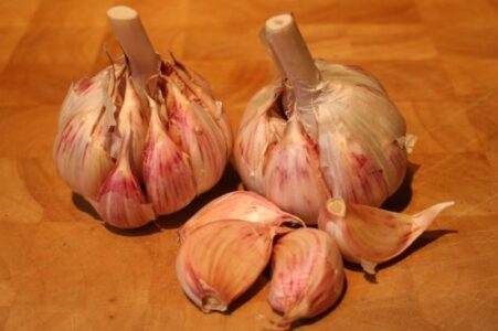 Gourmet Garlic: Creoles Image
